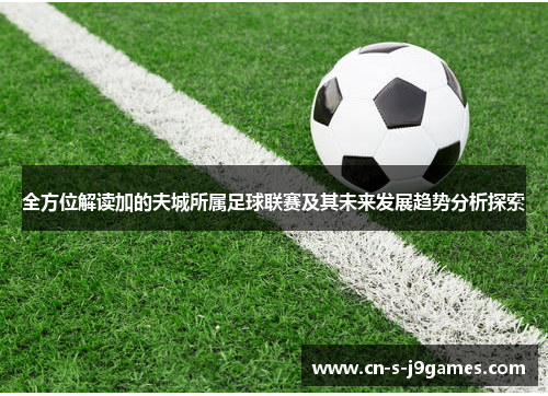 全方位解读加的夫城所属足球联赛及其未来发展趋势分析探索