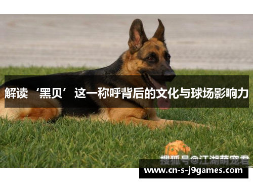 解读‘黑贝’这一称呼背后的文化与球场影响力