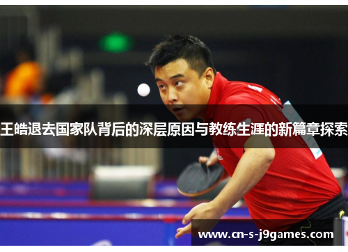 王皓退去国家队背后的深层原因与教练生涯的新篇章探索